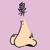 0870<br>鼻子<br>鼻子<br>Nose