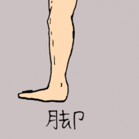 0871<br>脚<br>腳<br>Leg