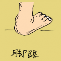 0874<br>脚跟<br>腳跟<br>Heel