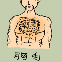 0880<br>胸毛<br>胸毛<br>Chests<br>Hair