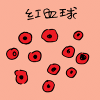 0886<br>红血球<br>紅血球<br>Red<br>Blood<br>Cells