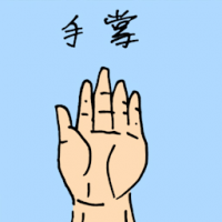 0892<br>手掌<br>手掌<br>Hand<br>Palm