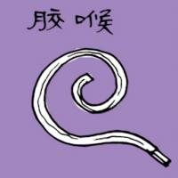 1305<br>胶喉<br>膠喉<br>Rubber<br>Hose