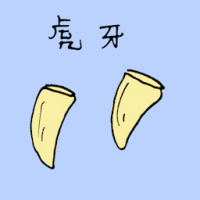 1576<br>虎牙<br>虎牙<br>Tigers<br>Tooth