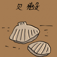 1932<br>贝壳<br>貝殼<br>Shell