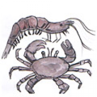 000<br>虾蟹螃蟹虾<br>蝦蟹蟹蝦<br>PrawnCrab