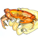 074<br>捉蟹捕螃蟹<br>捉蟹捕螃蟹<br>Catch<br>Crabs