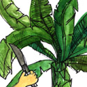 254<br>割蕉叶<br>割蕉葉<br>Cut<br>Banana<br>Leaf