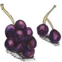 456<br>葡萄<br>葡萄<br>Grape