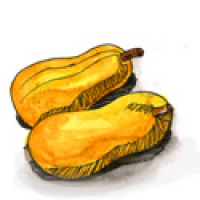 498<br>木瓜<br>木瓜<br>Papaya