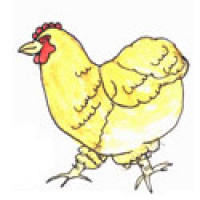 596<br>母鸡<br>母雞<br>HenFemale<br>Chicken