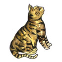 599<br>猫<br>貓<br>Cat