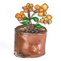 760<br>花盆花钵<br>花盆花缽<br>Flowerpot