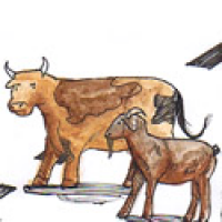 761<br>牛羊过路<br>牛羊過路<br>Cow<br>and<br>Goat<br>Cross<br>the<br>Road