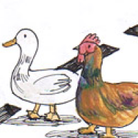 762<br>鸡鸭过路<br>雞鴨過路<br>Chicken<br>and<br>Ducks<br>Cross<br>the<br>Road