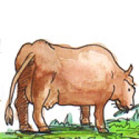 766<br>牛吃草<br>牛吃草<br>Cow<br>Grazing