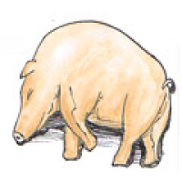 787<br>猪生病<br>豬生病<br>Pigs<br>Sick