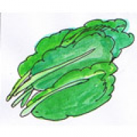 826<br>青菜蔬菜<br>青菜蔬菜<br>Vegetables