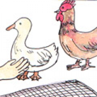 860<br>偷鸡鸭<br>偷雞鴨<br>Steal<br>Chicken<br>and<br>Duck