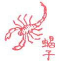 264<br>蝎子<br>蝎子<br>Scorpion