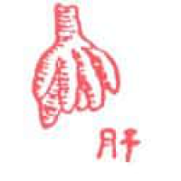 274<br>肝<br>肝<br>Liver