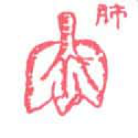 289<br>肺<br>肺<br>Lungs