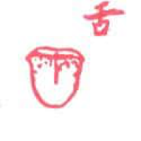 784<br>舌头<br>舌頭<br>Tongue