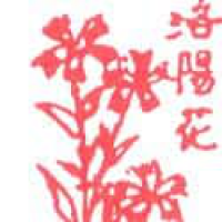 871<br>洛阳花<br>洛陽花<br>Chinese<br>PinkLuoyang<br>Flower