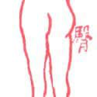 880<br>臀部屁股<br>臀部屁股<br>ButtButtock