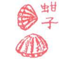 916<br>蚶子<br>蚶子<br>Clam