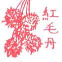 937<br>红毛丹<br>紅毛丹<br>Rambutan