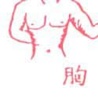 955<br>胸部胸膛<br>胸部胸膛<br>Chest